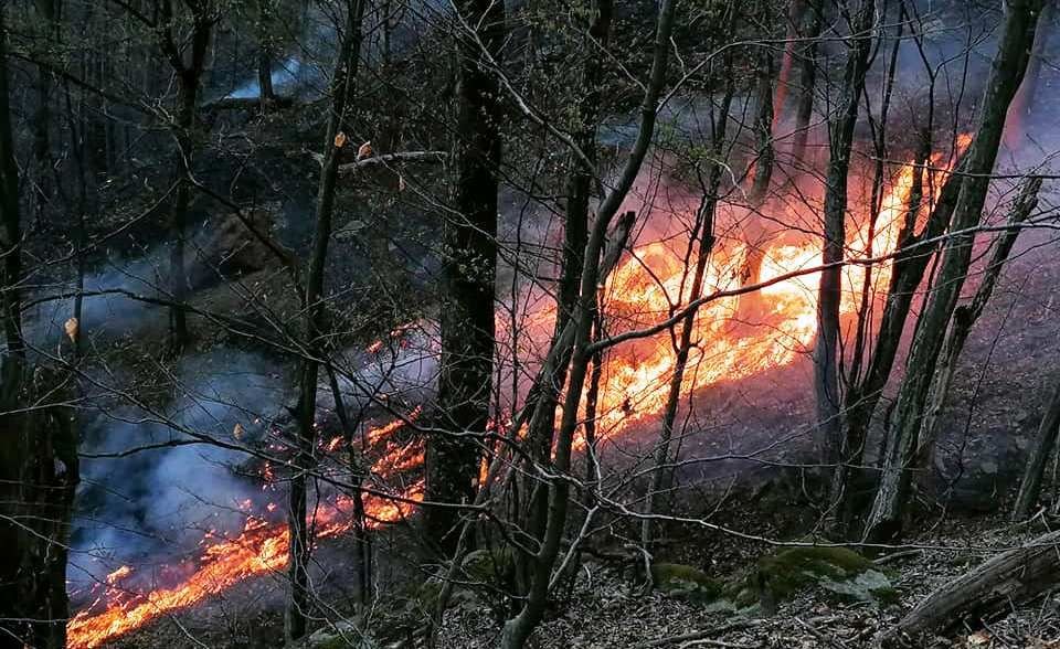 Tragedie imensa in Hunedoara. O persoana a murit arsa si un incendiu urias mistuie dezlantuit padurile din judet!_3