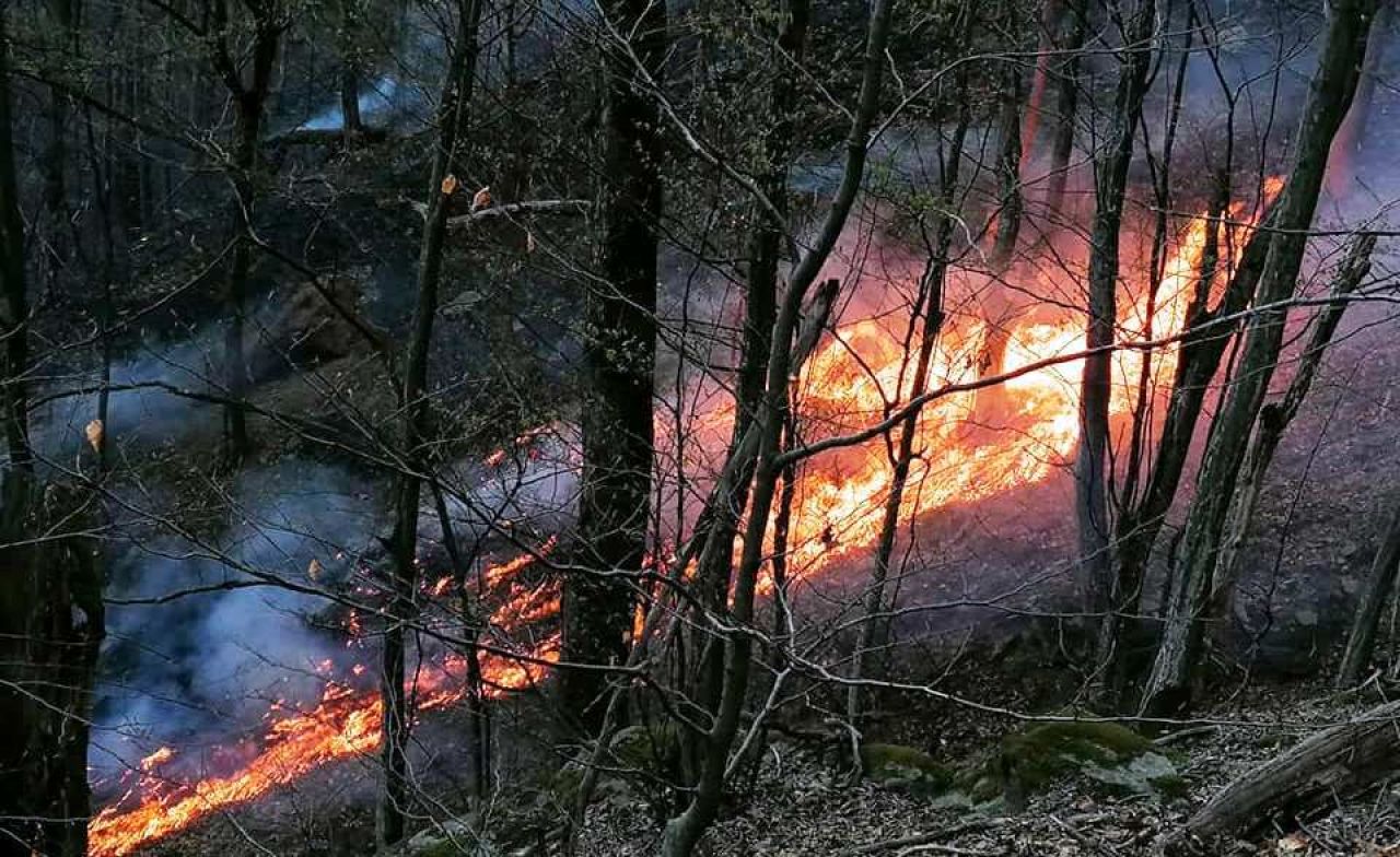 Tragedie imensa in Hunedoara. O persoana a murit arsa si un incendiu urias mistuie dezlantuit padurile din judet!_3
