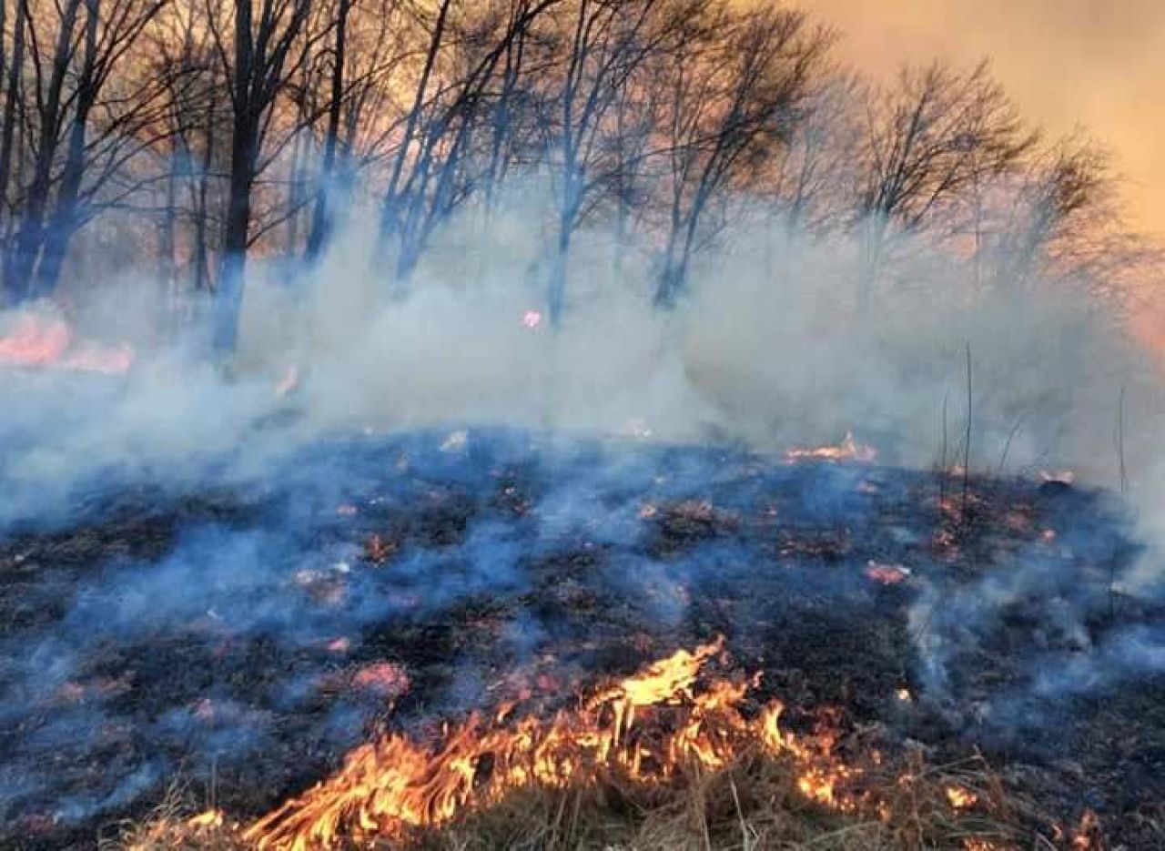 Tragedie imensa in Hunedoara. O persoana a murit arsa si un incendiu urias mistuie dezlantuit padurile din judet!_5