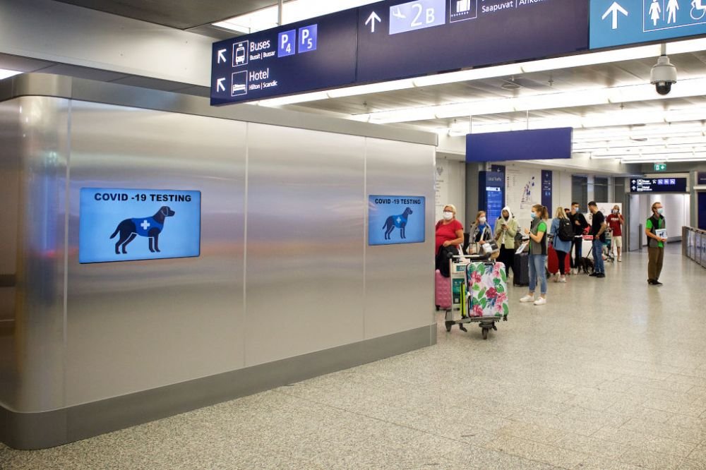 Incredibil! Tara in care cateii detecteaza persoanele infectate cu coronavirus in aeroport! Cum decurge totul