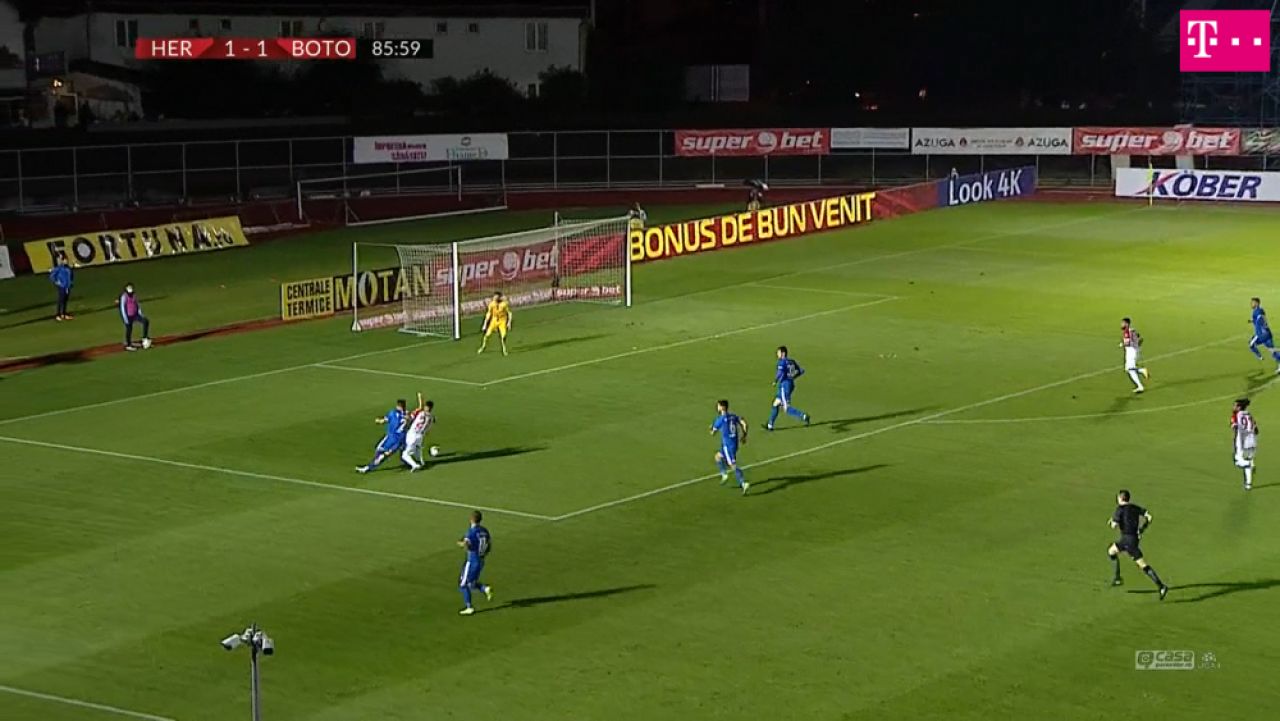 Controversa URIASA in Hermannstadt - Botosani! Arbitrul a acordat un penalty inexistent care a dus la victoria echipei lui Albes _2