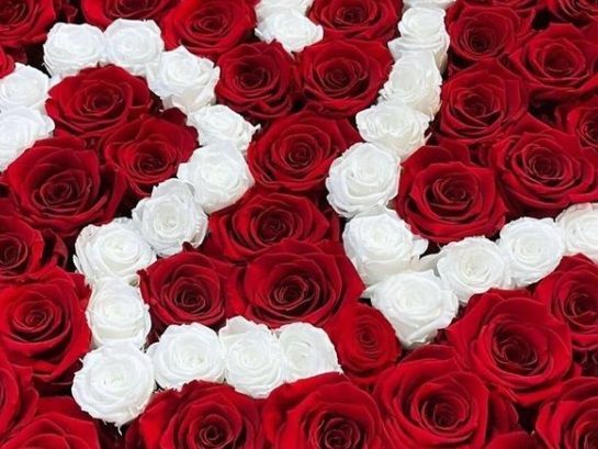 Ce buchet de flori a ratat Madalina Ghenea de Ziua Indragostitilor! Cine e fotomodelul