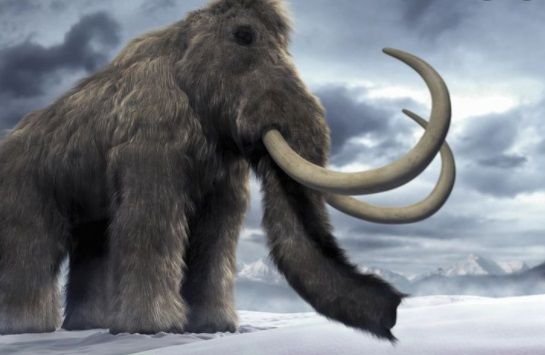 Cea mai veche dovada de viata din istorie. Descoperire uluitoare a oamenilor de stiinta. Sunt stramosii elefantilor!