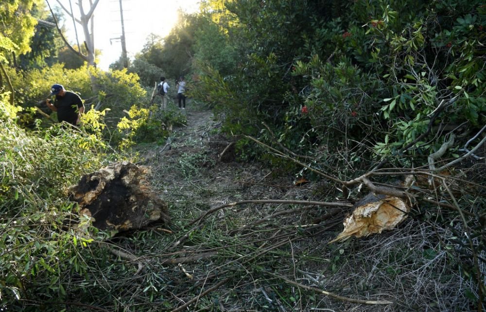 A scapat cu viata ca prin minune! Care este starea lui Tiger Woods la 4 zile dupa teribilul accident in care a fost implicat_2