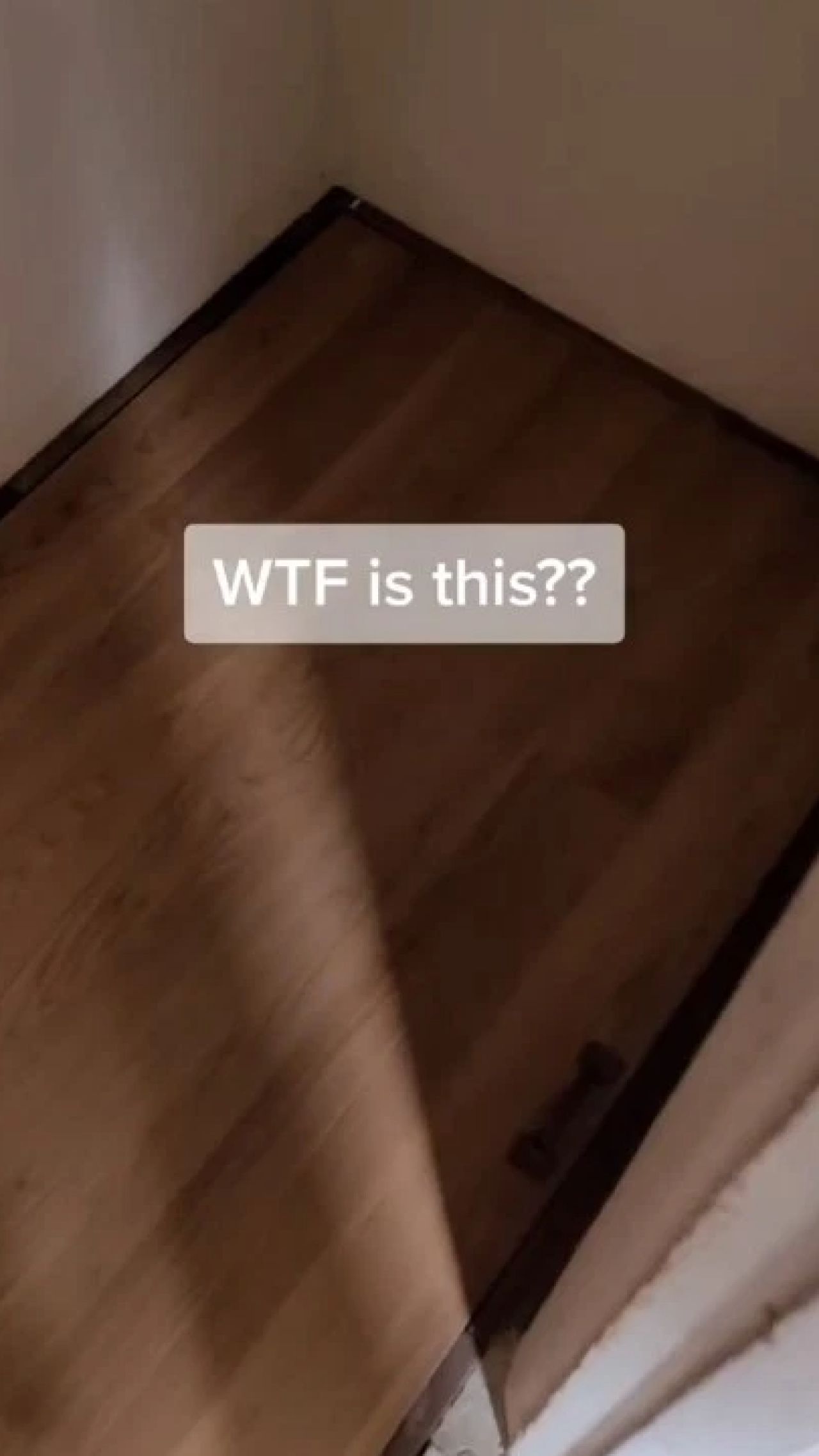 S-au mutat in casa groazei! Incredibil ce a descoperit un cuplu in locuinta pe care abia a inchiriat-o! Imaginile care dau fiori_1