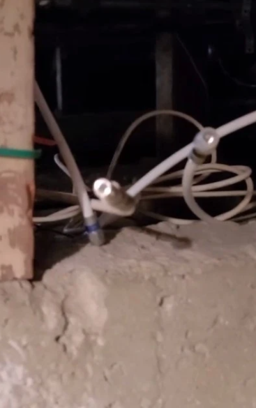 S-au mutat in casa groazei! Incredibil ce a descoperit un cuplu in locuinta pe care abia a inchiriat-o! Imaginile care dau fiori_3