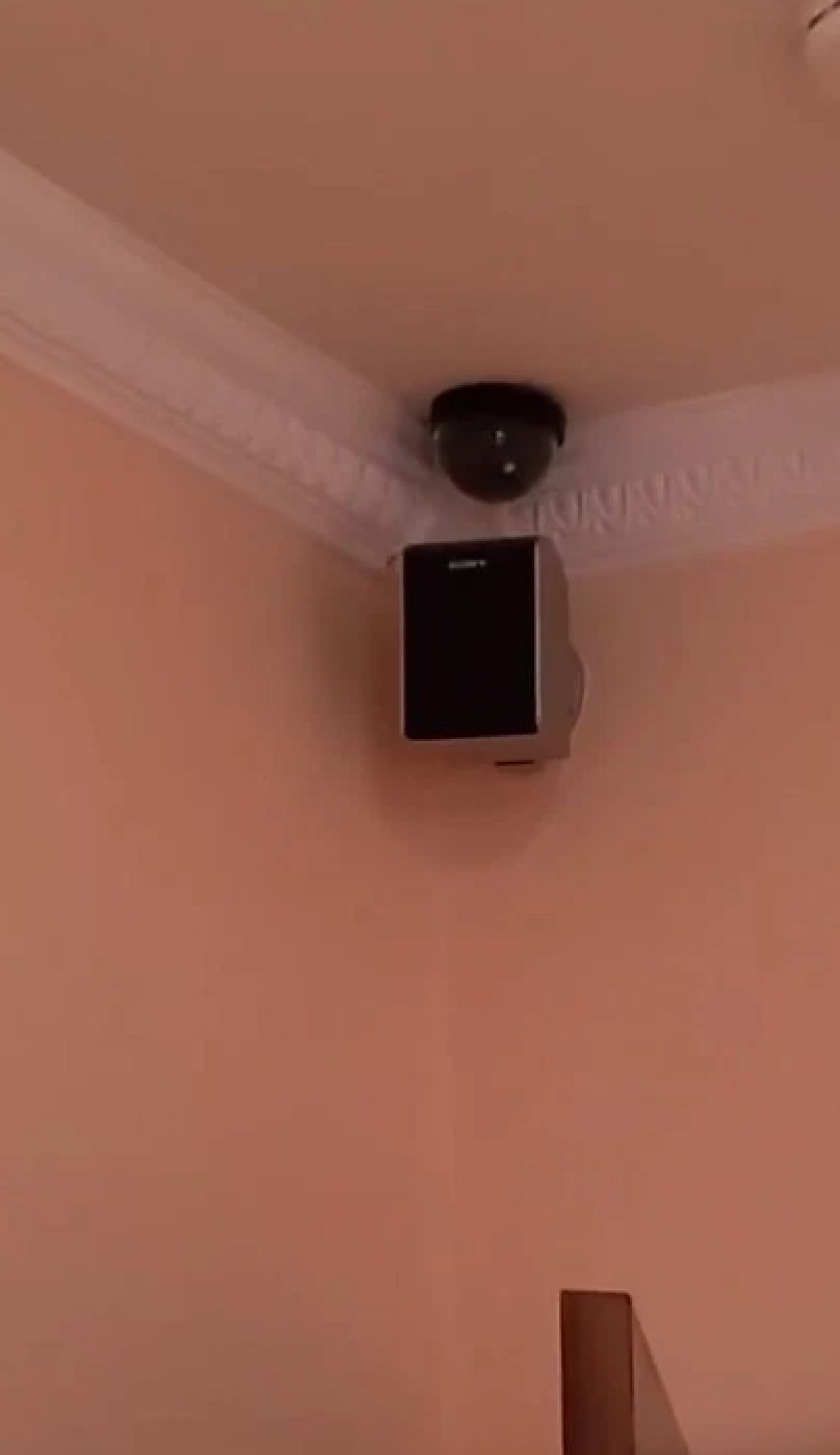 S-au mutat in casa groazei! Incredibil ce a descoperit un cuplu in locuinta pe care abia a inchiriat-o! Imaginile care dau fiori_4