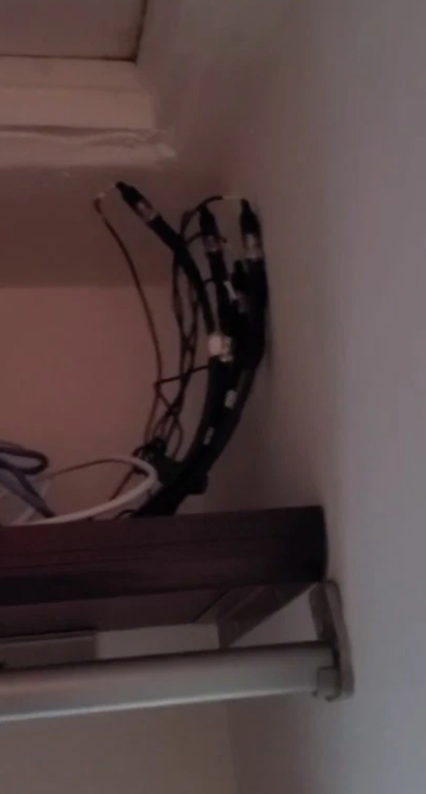 S-au mutat in casa groazei! Incredibil ce a descoperit un cuplu in locuinta pe care abia a inchiriat-o! Imaginile care dau fiori_5