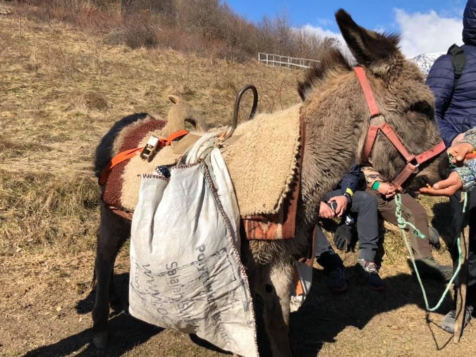 Idee fantastica a ultrasilor Stelei! Au umplut masinile si s-au dus in catunele izolate ale Romaniei! Peste 4 tone de alimente au ajuns la oameni_9