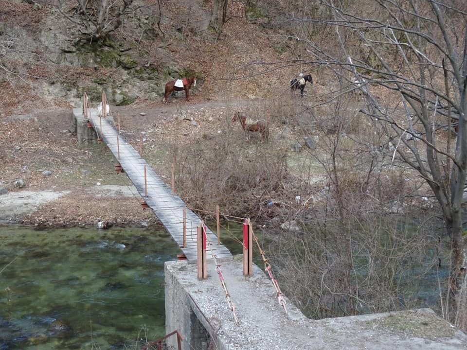 Idee fantastica a ultrasilor Stelei! Au umplut masinile si s-au dus in catunele izolate ale Romaniei! Peste 4 tone de alimente au ajuns la oameni_27