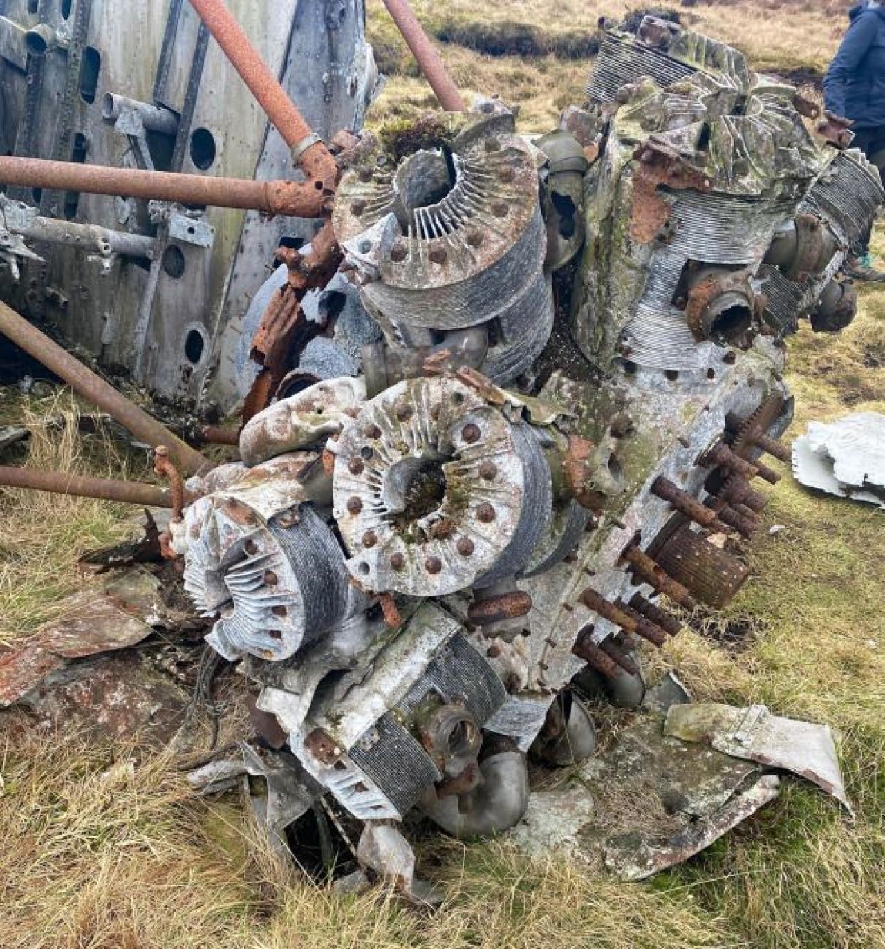 Descoperire INCREDIBILA facuta de doua femei in timpul unei plimbari! Au gasit epava unui avion prabusit in urma cu aproape 80 de ani_1