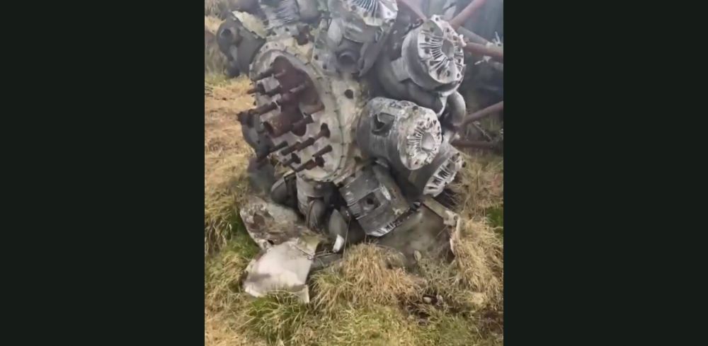 Descoperire INCREDIBILA facuta de doua femei in timpul unei plimbari! Au gasit epava unui avion prabusit in urma cu aproape 80 de ani_3