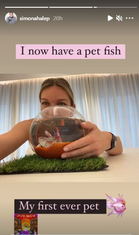Premiera absoluta pentru Simona Halep! Investitia care o face fericita, dezvaluita intr-un Instastory: E primul! &nbsp;