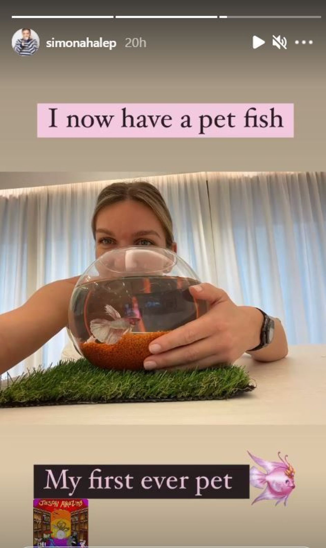 Premiera absoluta pentru Simona Halep! Investitia care o face fericita, dezvaluita intr-un Instastory: