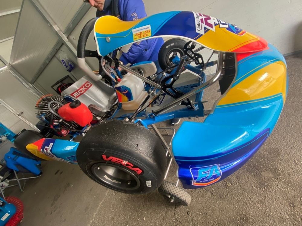 Alonso cauta supercampioni de karting in Romania!_4