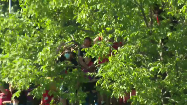 Imagini fabuloase de la meciul Stelei! Suporterii s-au urcat in copaci pentru a vedea meciul! Cum au putut sa reactioneze la gol _2