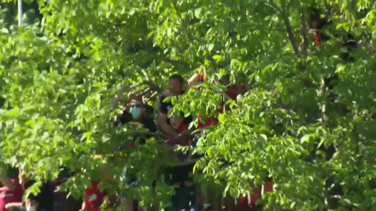 Imagini fabuloase de la meciul Stelei! Suporterii s-au urcat in copaci pentru a vedea meciul! Cum au putut sa reactioneze la gol _2