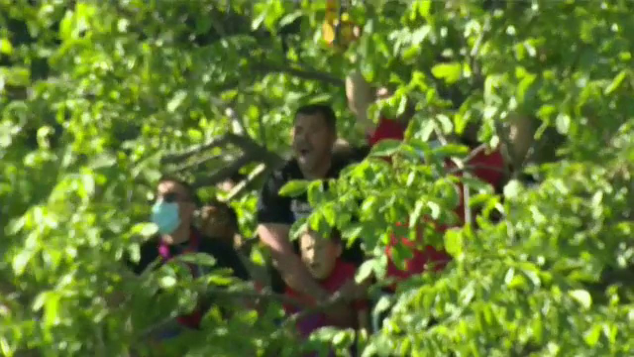 Imagini fabuloase de la meciul Stelei! Suporterii s-au urcat in copaci pentru a vedea meciul! Cum au putut sa reactioneze la gol _3
