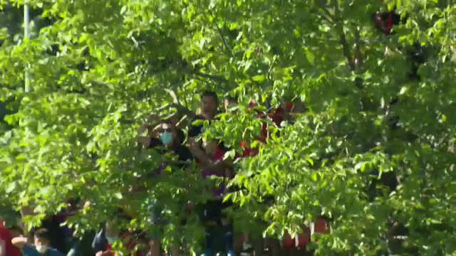 Imagini fabuloase de la meciul Stelei! Suporterii s-au urcat in copaci pentru a vedea meciul! Cum au putut sa reactioneze la gol _4