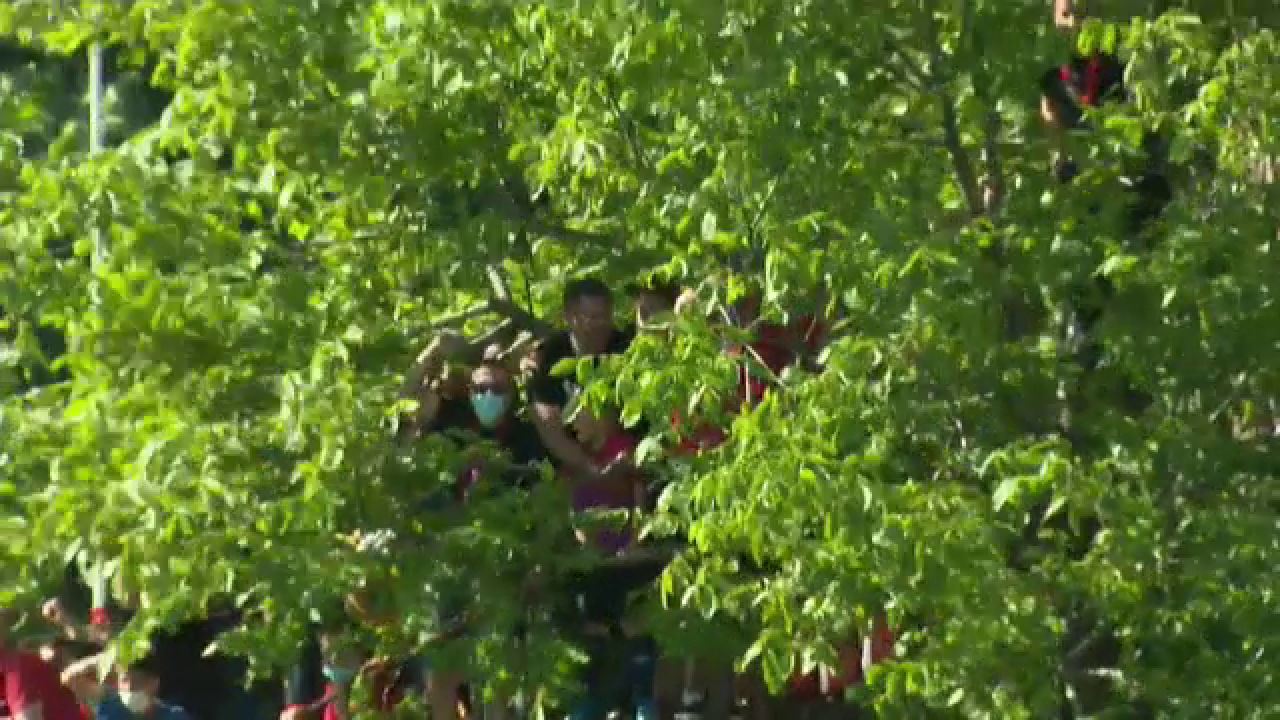 Imagini fabuloase de la meciul Stelei! Suporterii s-au urcat in copaci pentru a vedea meciul! Cum au putut sa reactioneze la gol _5