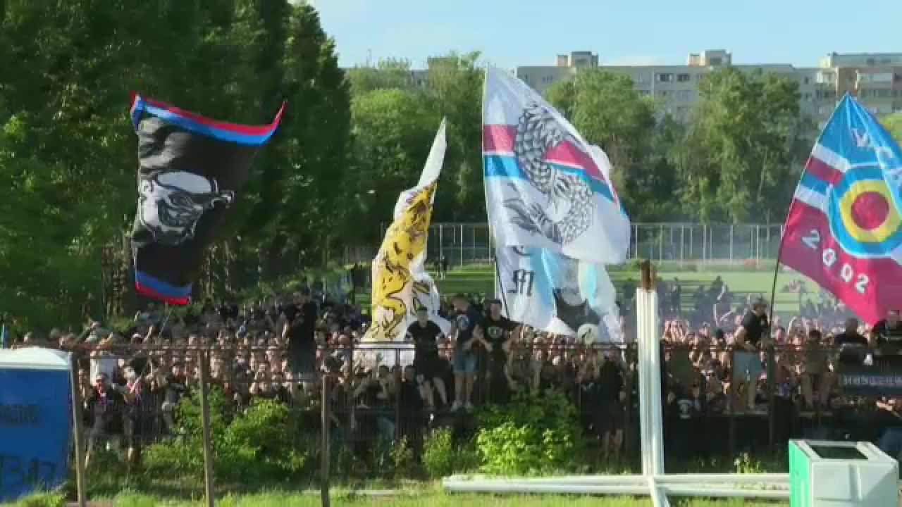 Imagini fabuloase de la meciul Stelei! Suporterii s-au urcat in copaci pentru a vedea meciul! Cum au putut sa reactioneze la gol _9