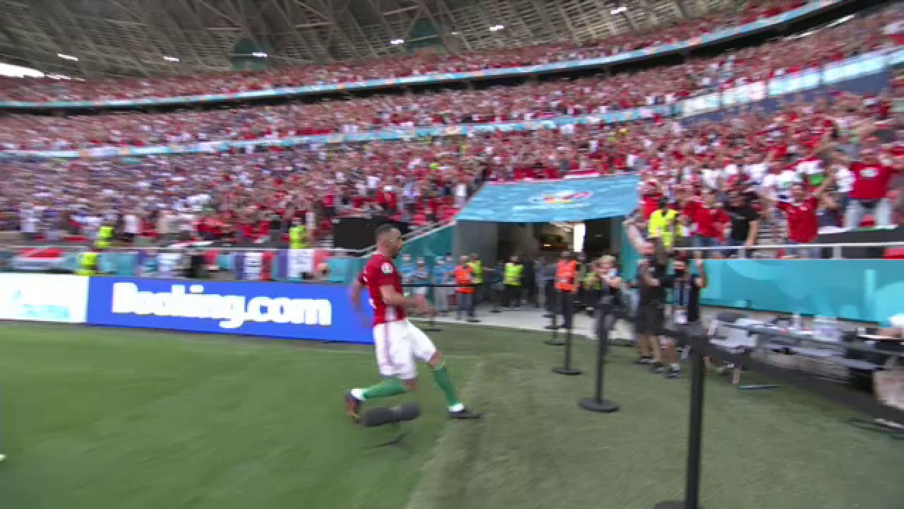 Pur si simplu genial! Fiola a inscris impotriva Frantei si a devenit viral cu bucuria de la gol! A daramat masa oficialilor _1