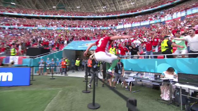 Pur si simplu genial! Fiola a inscris impotriva Frantei si a devenit viral cu bucuria de la gol! A daramat masa oficialilor _2