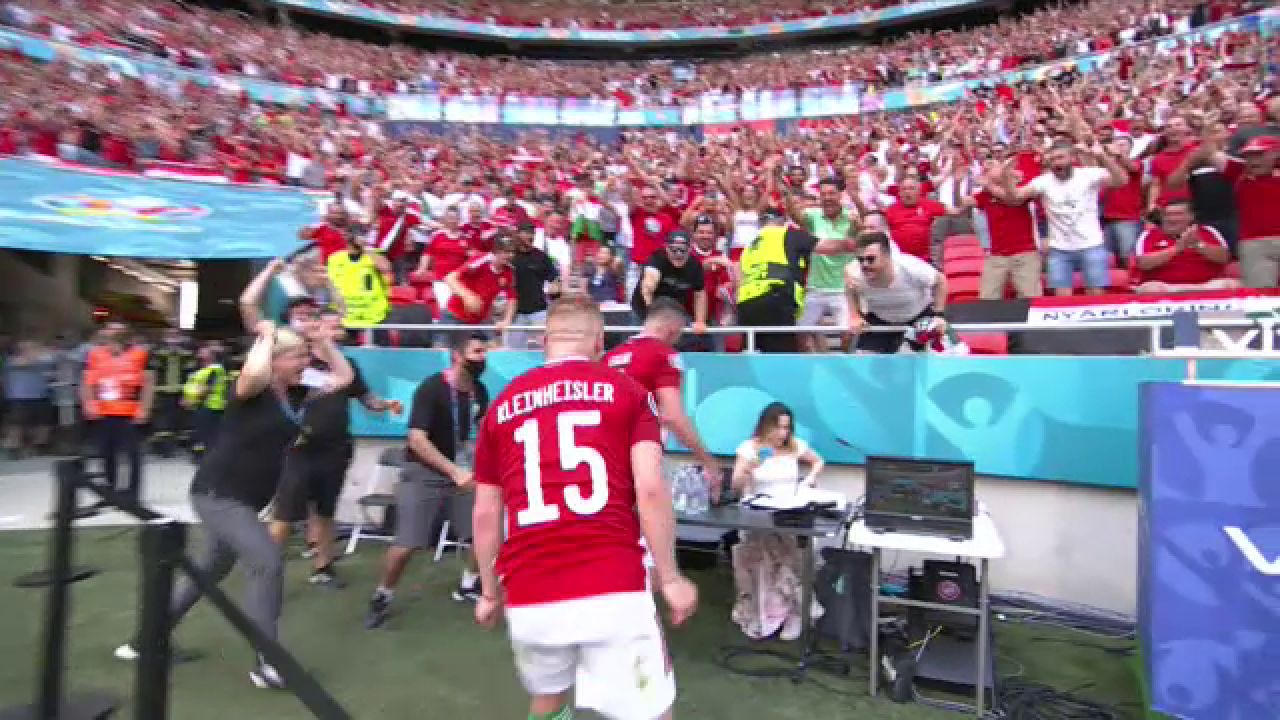 Pur si simplu genial! Fiola a inscris impotriva Frantei si a devenit viral cu bucuria de la gol! A daramat masa oficialilor _4