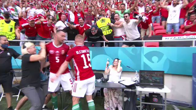 Pur si simplu genial! Fiola a inscris impotriva Frantei si a devenit viral cu bucuria de la gol! A daramat masa oficialilor _6