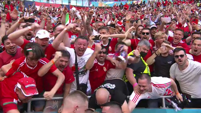 Pur si simplu genial! Fiola a inscris impotriva Frantei si a devenit viral cu bucuria de la gol! A daramat masa oficialilor _9