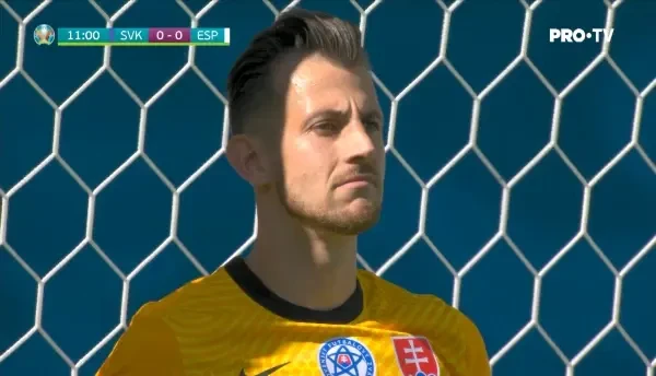 Rezumat Slovacia - Spania