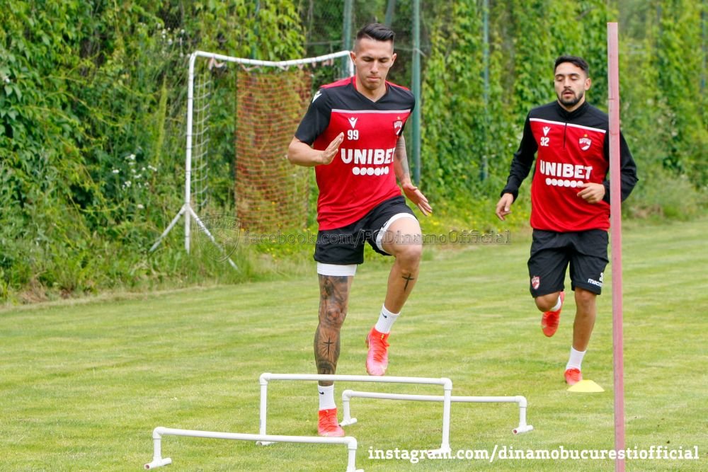 Marius Niculae reclama haosul de la Dinamo: 