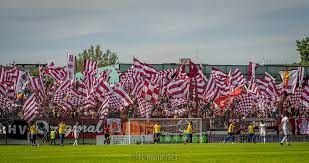 Rapidiștii, gata să dea două lovituri pe piața transferurilor! Cu ce fotbaliști negociază_2
