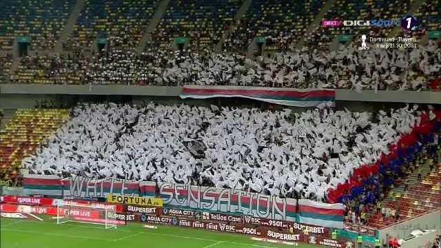Ironie maximă a suporterilor rapidiști!