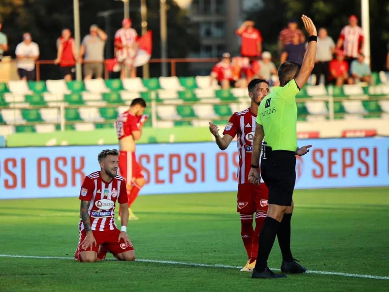 Sepsi - FC Botoșani | Oaspeții smulg un punct pe final de meci! Sepsi rămâne fără victorie de opt meciuri _3