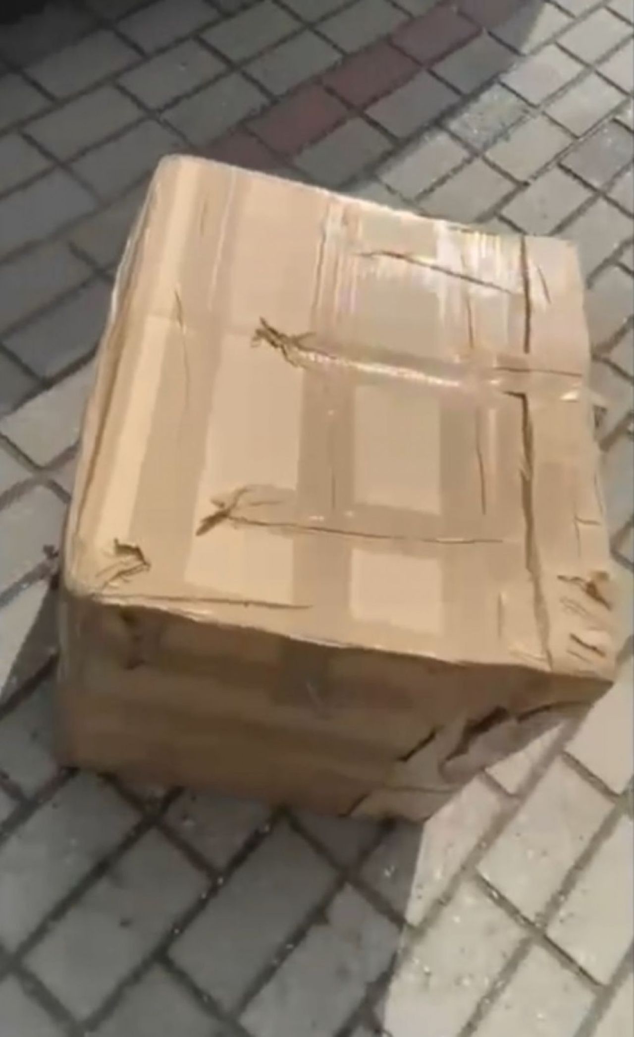 Savuros! Rapidistul care s-a plâns că suporterii „i-au umplut frigiderul” a primit unul nou de la fanii arădeni_5