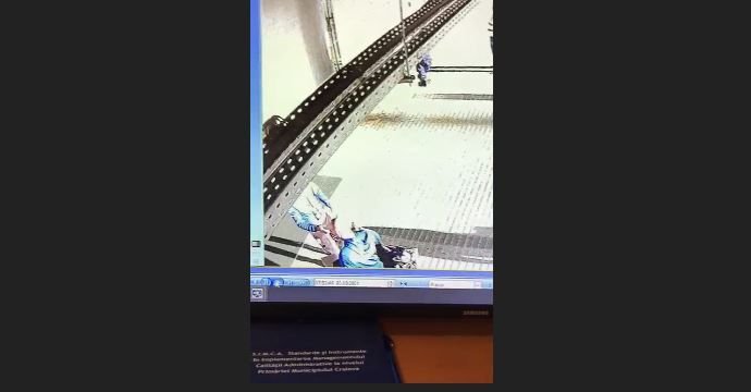 Imagini ireale. Cine ar fi introdus, de fapt, geanta cu bâte de la 