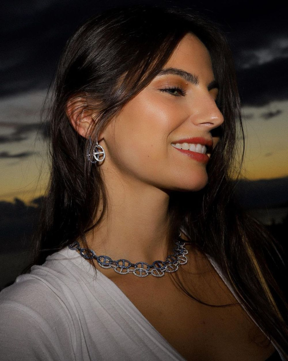 A zburat 11 ore cu avionul privat pentru iubita sa. Gestul romantic al lui Verstappen înaintea cursei pentru titlul mondial_49