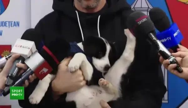 Mihai Stoica pune presiune pe UTA Arad: „Clepsidra e pe masă, oferta începe să se scurgă!”