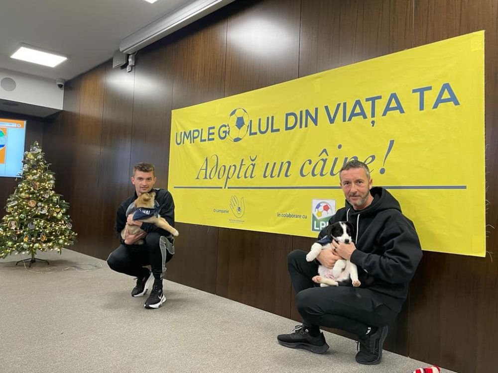 De pe stadion, direct în Seattle! Un cățel din campania „Umple golul din viața ta” a fost adoptat în SUA_2