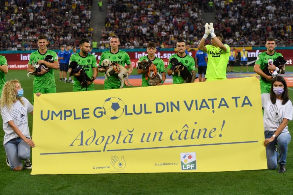 De pe stadion, direct în Seattle! Un cățel din campania „Umple golul din viața ta” a fost adoptat în SUA_5