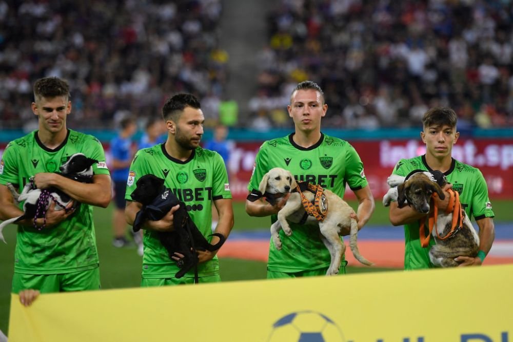 De pe stadion, direct în Seattle! Un cățel din campania „Umple golul din viața ta” a fost adoptat în SUA_6