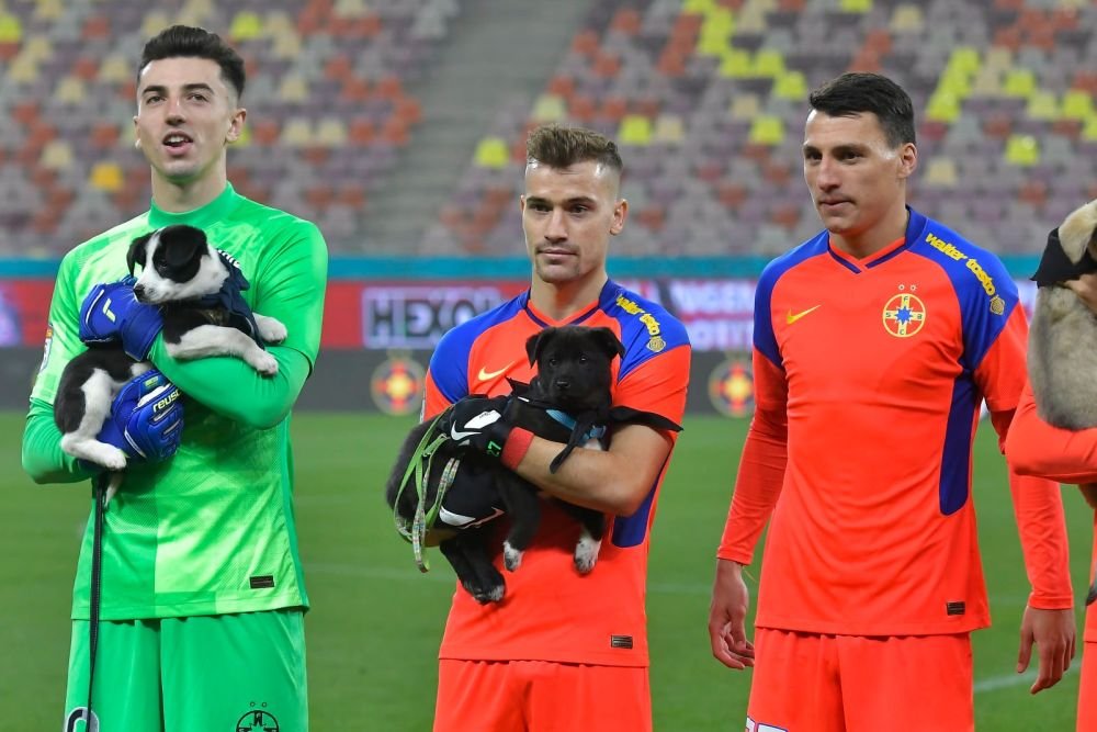 De pe stadion, direct în Seattle! Un cățel din campania „Umple golul din viața ta” a fost adoptat în SUA_7