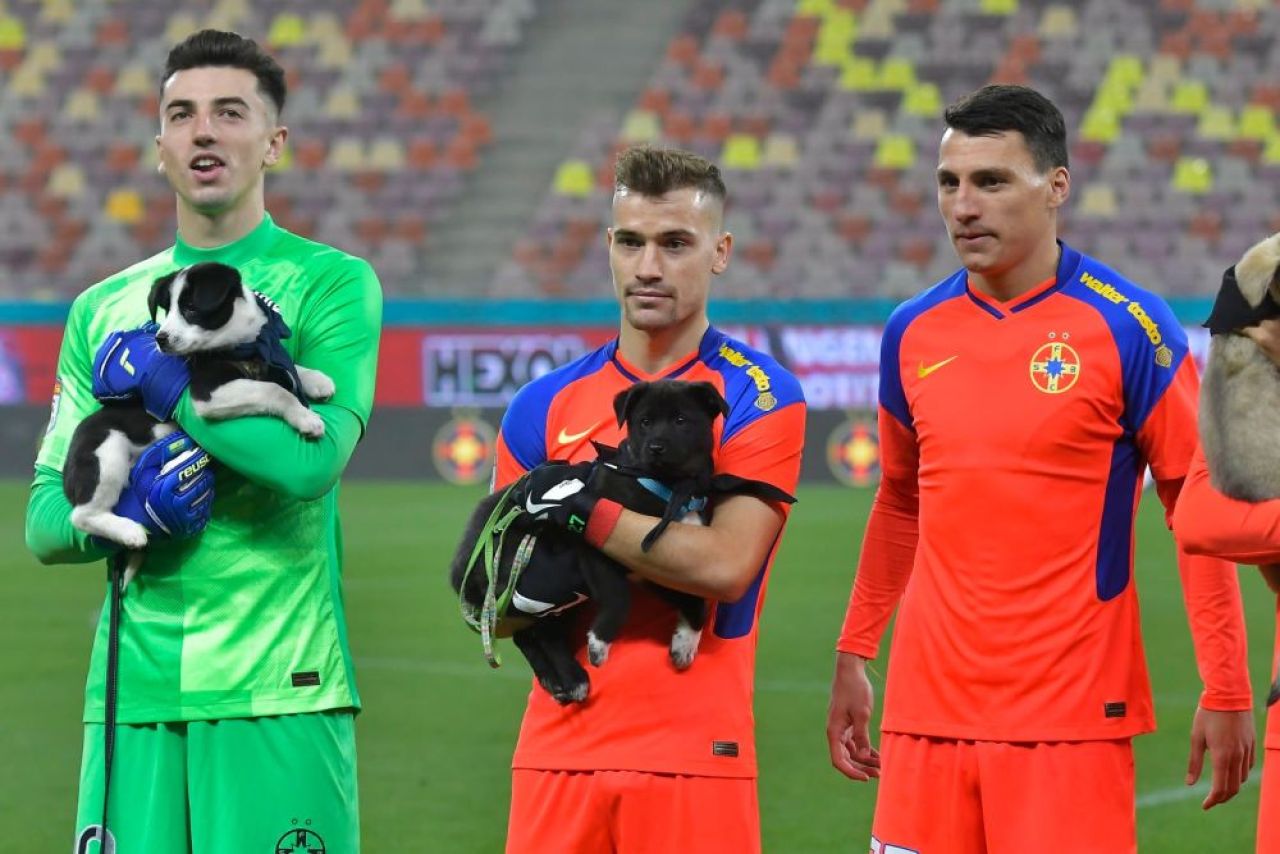 De pe stadion, direct în Seattle! Un cățel din campania „Umple golul din viața ta” a fost adoptat în SUA_7