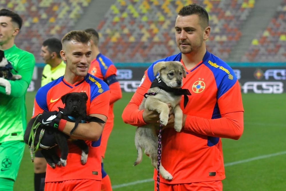 De pe stadion, direct în Seattle! Un cățel din campania „Umple golul din viața ta” a fost adoptat în SUA_8