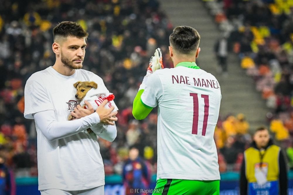 De pe stadion, direct în Seattle! Un cățel din campania „Umple golul din viața ta” a fost adoptat în SUA_9