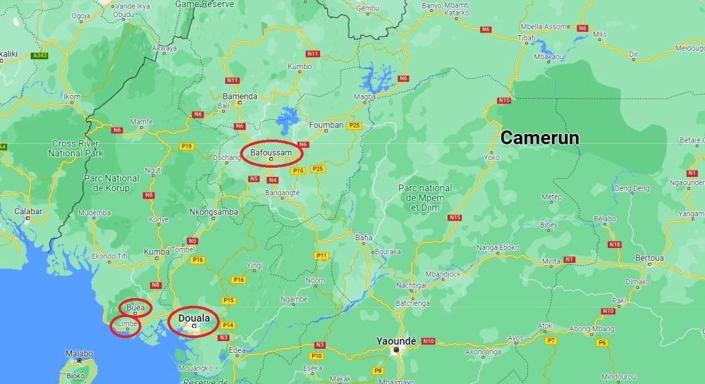 Riscuri majore la Cupa Africii pe Națiuni! Mascota poartă vestă antiglonț, polițiști linșați și atentate cu bomba  _4