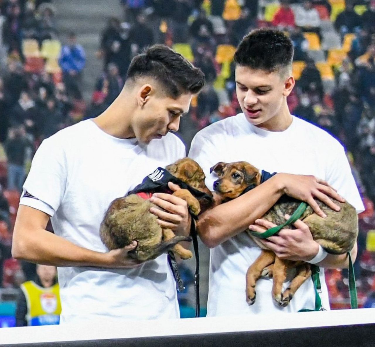 Un fotbalist de la Rapid este urmărit de echipe din Serie A și poate ajunge coleg cu Ribery!_2