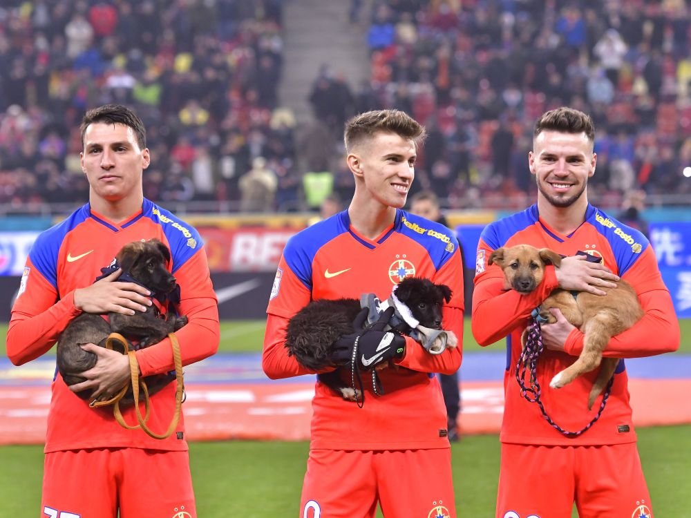 Mai rău de atât nu se putea! FCSB pierde un titular înaintea meciului cu Farul Constanța _2