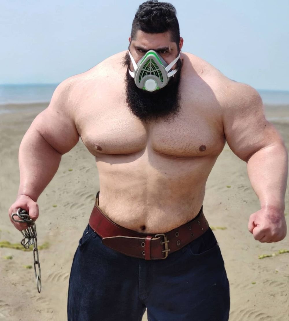 Hulk din Iran și 